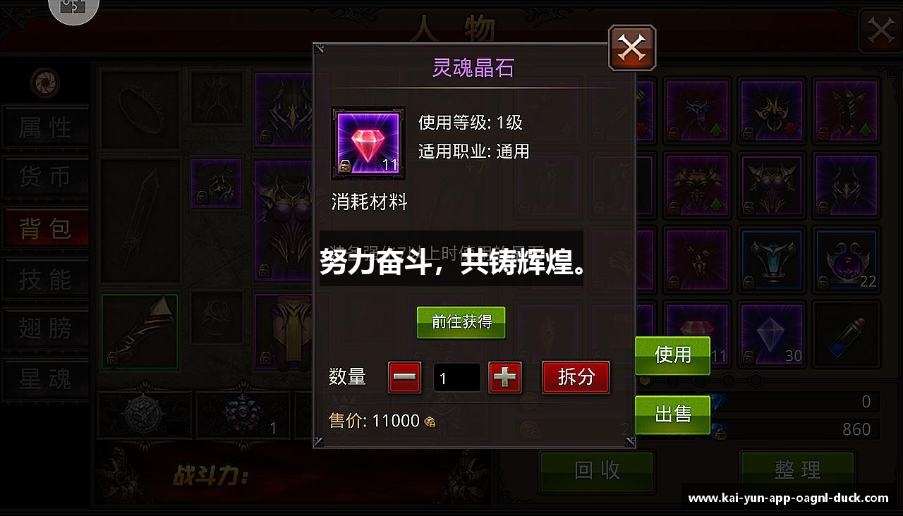 开云体育app努力奋斗，共铸辉煌。